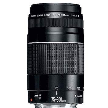 Объектив Canon EF 75-300mm f/4-5.6 III  Zoom-телеобъектив • Крепление Canon EF и EF-S • Автоматическая фокусировка • Минимальное расстояние фокусировки 1.5 м • Размеры (DхL): 71x122 мм