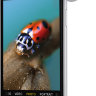 Макрообъектив Olloclip Macro 7x + 14x + 21x Essential Lenses для iPhone XR