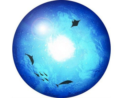 Проекционный диск Sega Homestar для домашнего планетария Подводный мир (океан)  Подходит для планетариев Homestar Classic, Earth Theater, R2-D2 EX, Pro 2nd Edition, Pure.