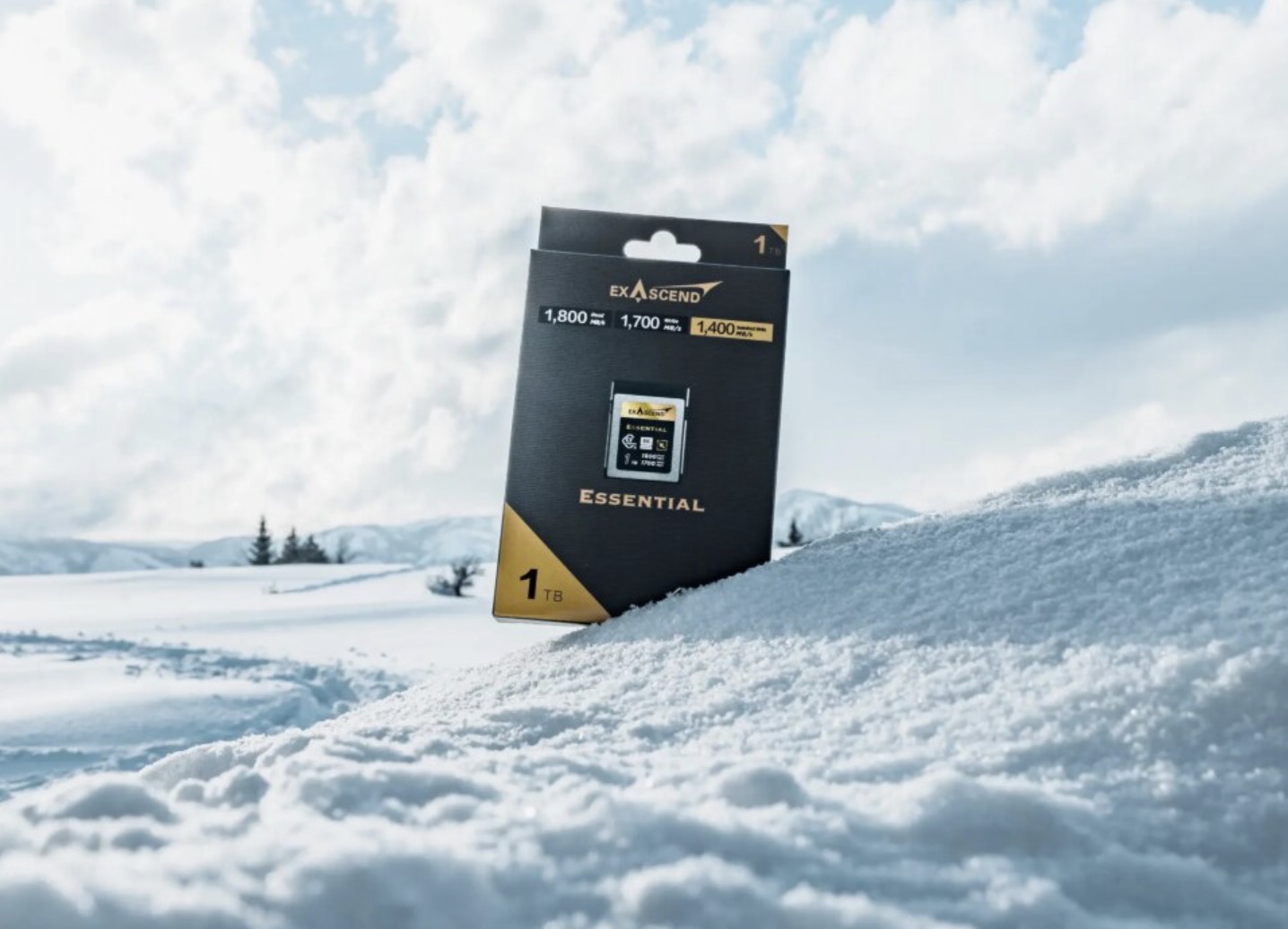 Карта памяти Exascend Essential CFexpress Type B 512GB