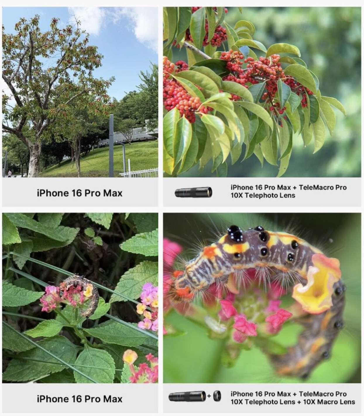 Комплект объективов Apexel TeleMacro Pro 10X для смартфона