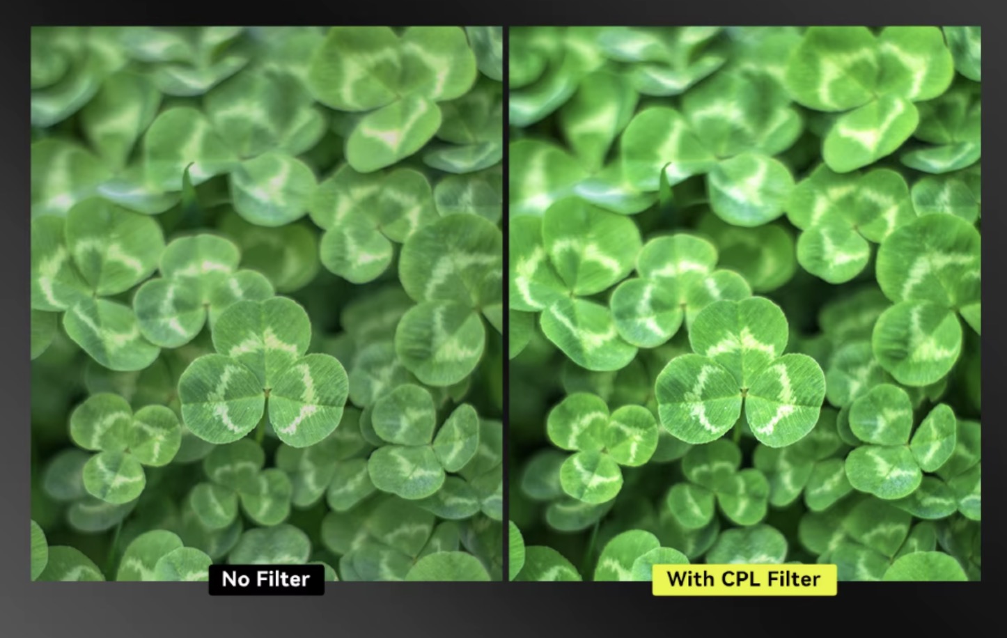 Светофильтр Apexel CPL 52 мм для смартфона