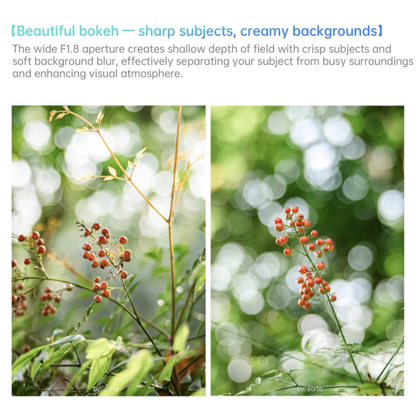 Объектив 7Artisans Lite AF 50mm F1.8 APS-C X-mount