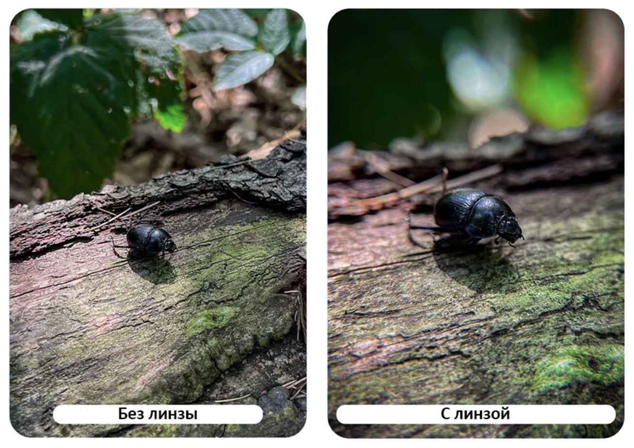 Объектив Freewell 100mm Long Range Macro для смартфона (17mm mount)