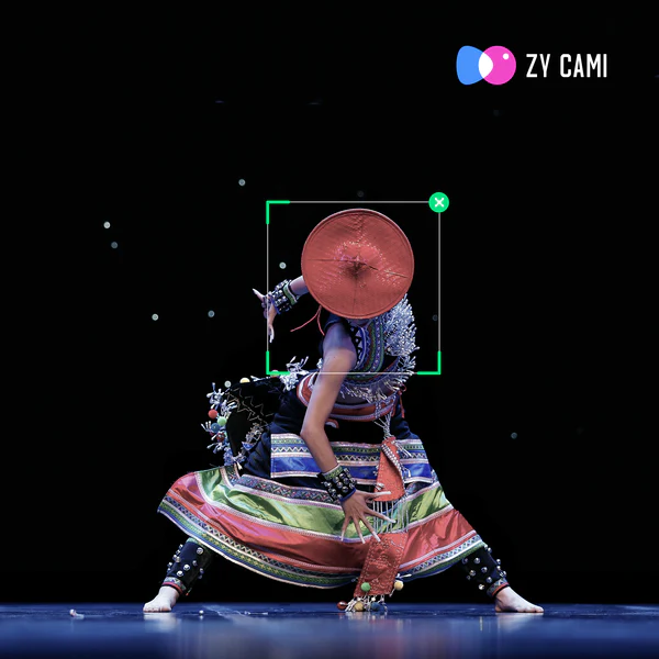 Стабилизатор Zhiyun Smooth 5S Combo серый