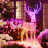 Светодиодное уличное украшение Twinkly 3D Red Nose Stag Олень с рогами и бантом 250 RGB+W LED 120 см Светодиодное уличное украшение Twinkly 3D Red Nose Stag Олень с рогами и бантом 250 RGB+W LED 120 см - Светодиодное уличное украшение Twinkly 3D Red Nose Stag Олень с рогами и бантом 250 RGB+W LED 120 см