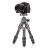 Штатив Benro Tortoise TTOR03CGX25  - Штатив Benro Tortoise TTOR03CGX25 