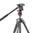 Штативная голова Manfrotto Befree Live  - Штативная голова Manfrotto Befree Live 