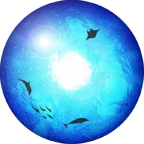 Проекционный диск Sega Homestar Underwater для домашнего планетария HomeStar Lite  Успокаивающая красота подводного мира. Подходит для планетариев Homestar Lite.