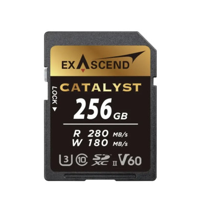 Карта памяти Exascend SDXC Catalyst UHS-II SD V60 256GB