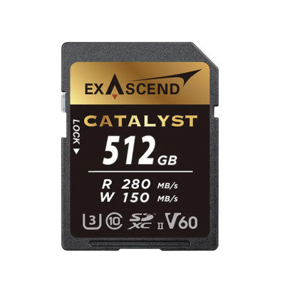 Карта памяти Exascend SDXC Catalyst UHS-II SD V60 512GB